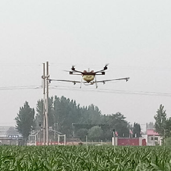 新樂玉米飛防作業