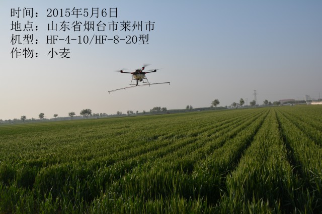 2015年5月6日市萊州市小麥作業(yè)