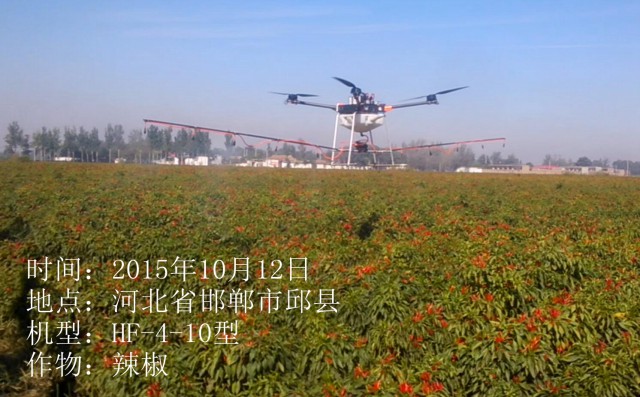 2015年10月12日省市邱縣辣椒作業